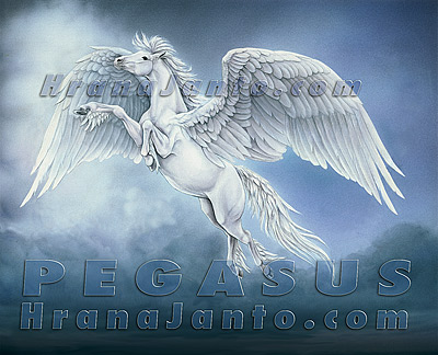 Pegasus and Medusa