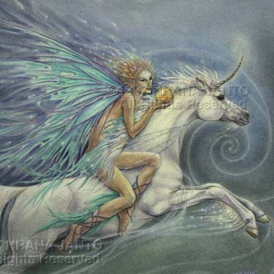 The Fairy on the Flying Unicorn